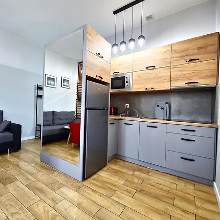 Wieczorek Apartment Kudowa Zdroj Exterior photo